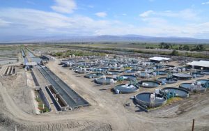 Kent Tech facility aerial overview