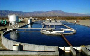 Large circular raceway fish tank