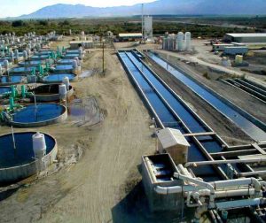 Farm Overview tilapchannel