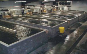 Kent Sea Tech Cold Bank Interior