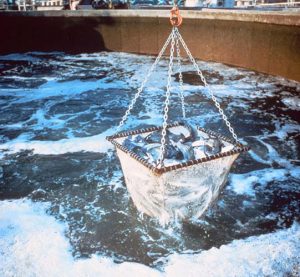 Harvesting at Kent Sea Tech