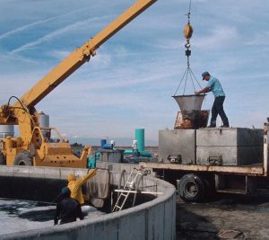 Harvesting at Kent Sea Tech