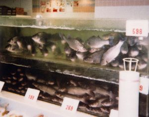 Harvesting at Kent Sea Tech